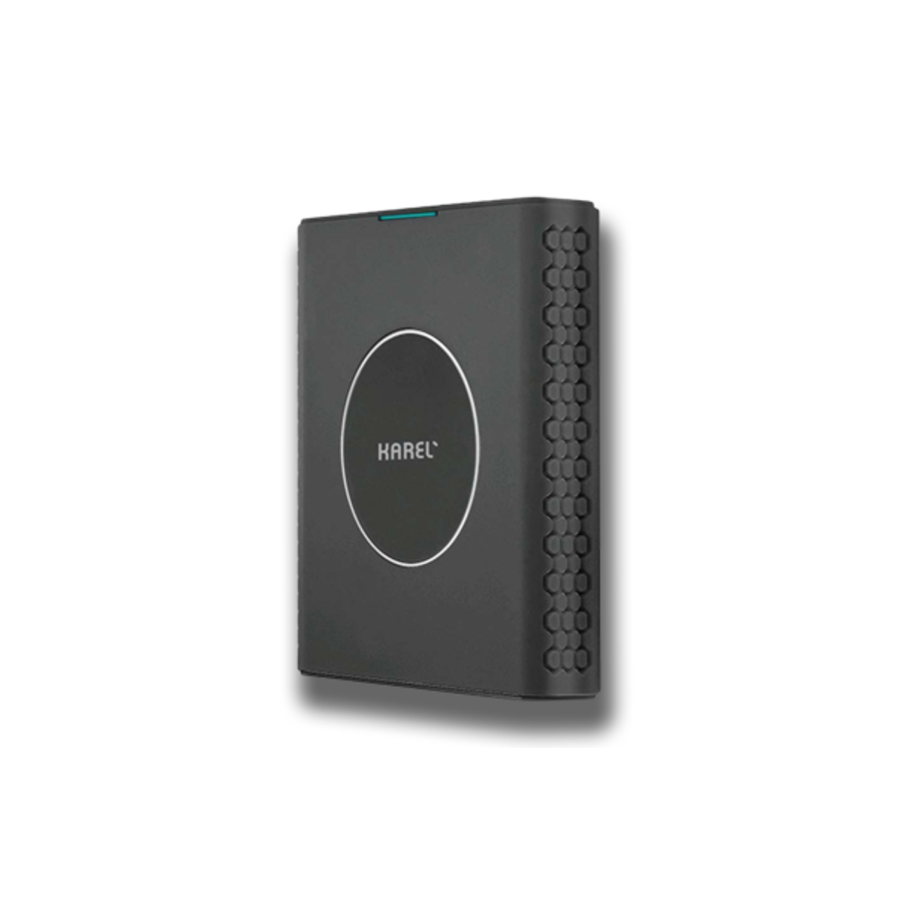 Karel DB263 IP Dect Baz İstasyonu