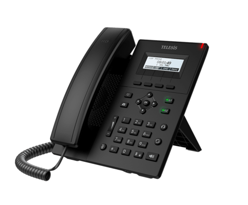 Telesis IP Telefon IPT241P